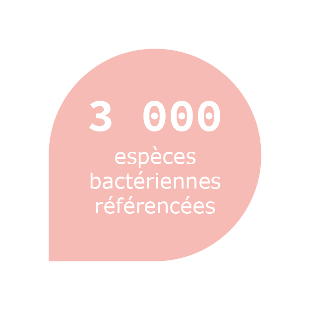 MALDI-TOF - 3 000 espèces bactériennes référencées